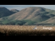 Maize Harvest Side 1 TIMELAPSE 1543
